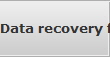 Data recovery for Irving data